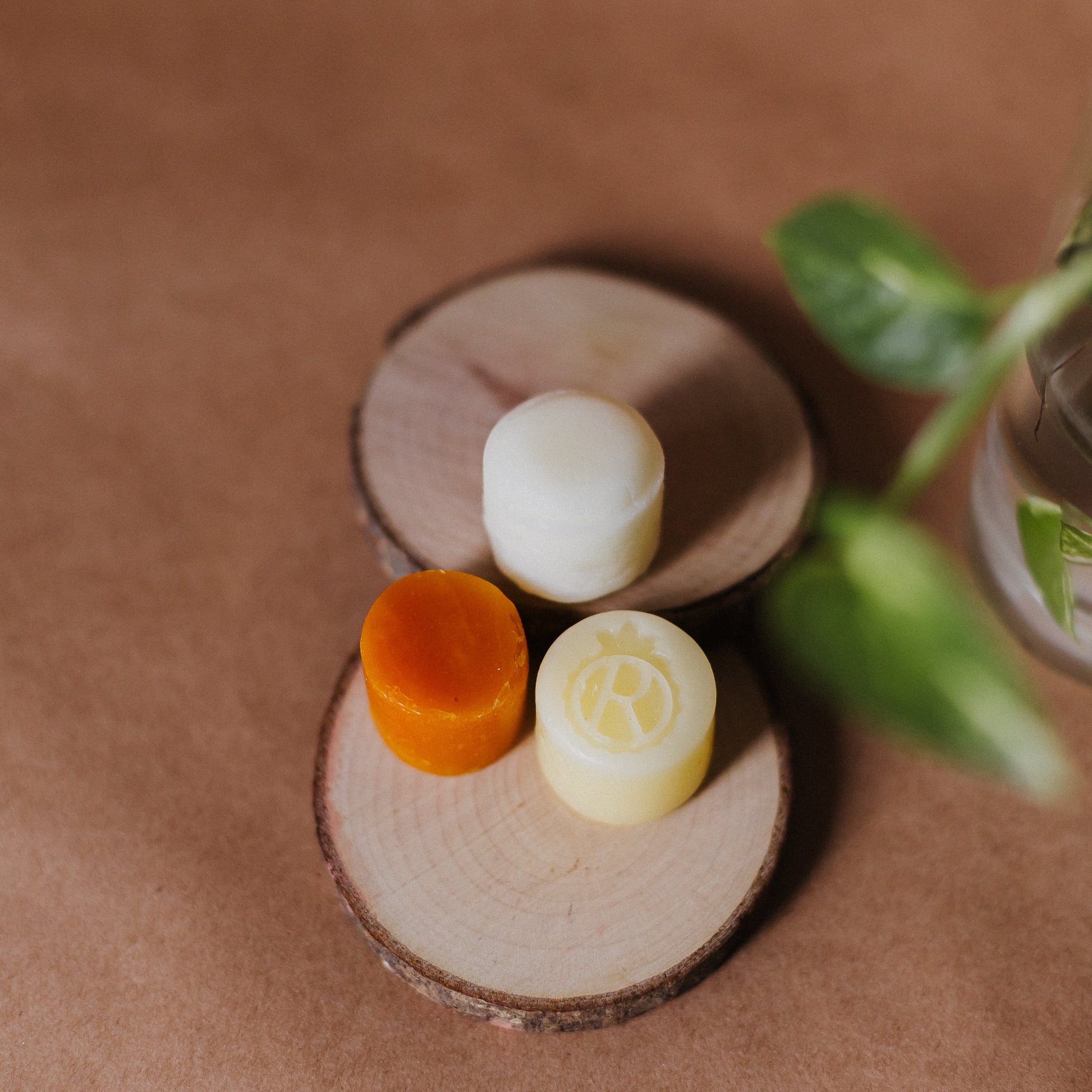 Kit Viagem Vegano Shampoo Condicionador e Sabonete em Barra 51g - Sem Sulfato