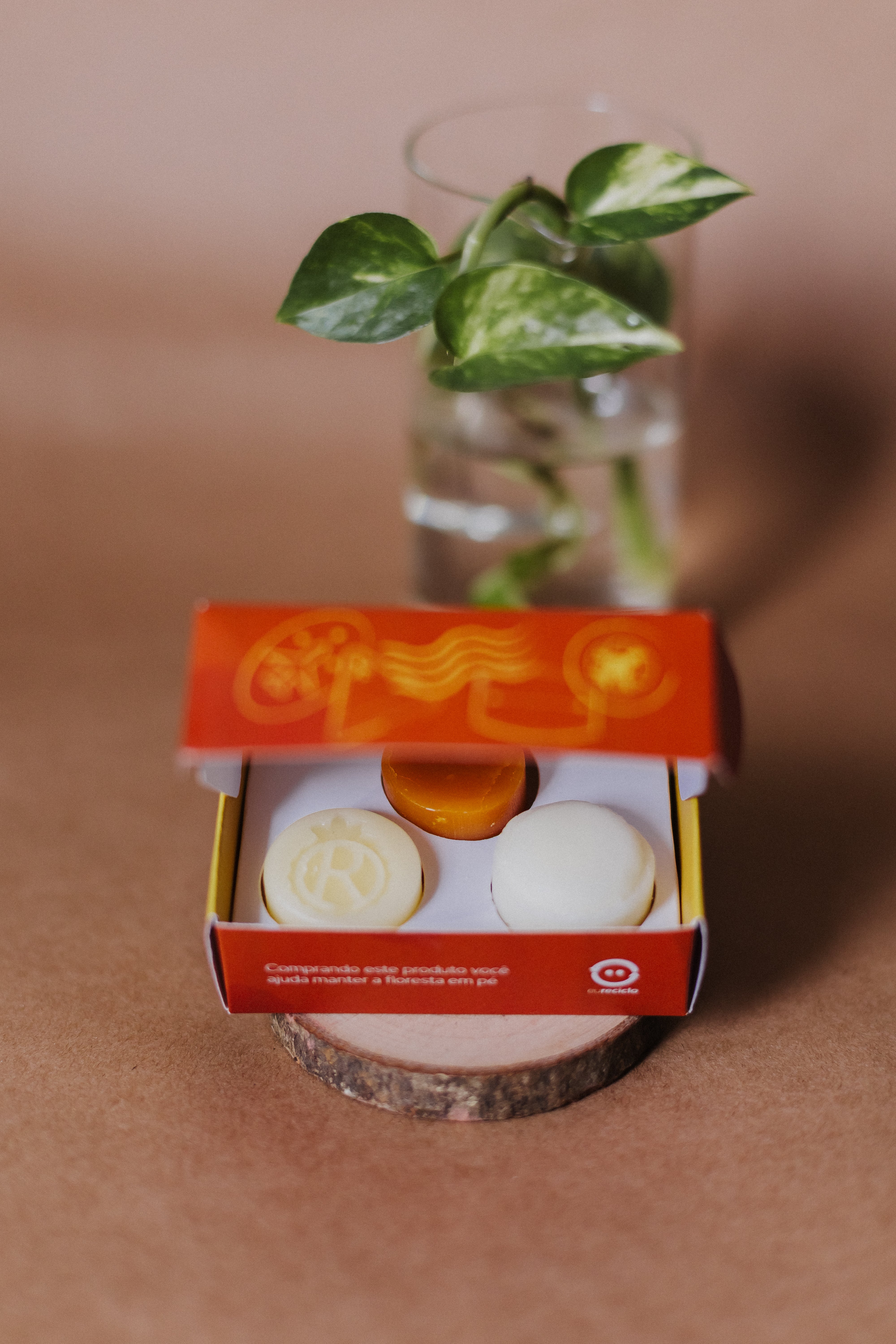 Kit Viagem em Barra Buriti, Murumuru e Copaiba