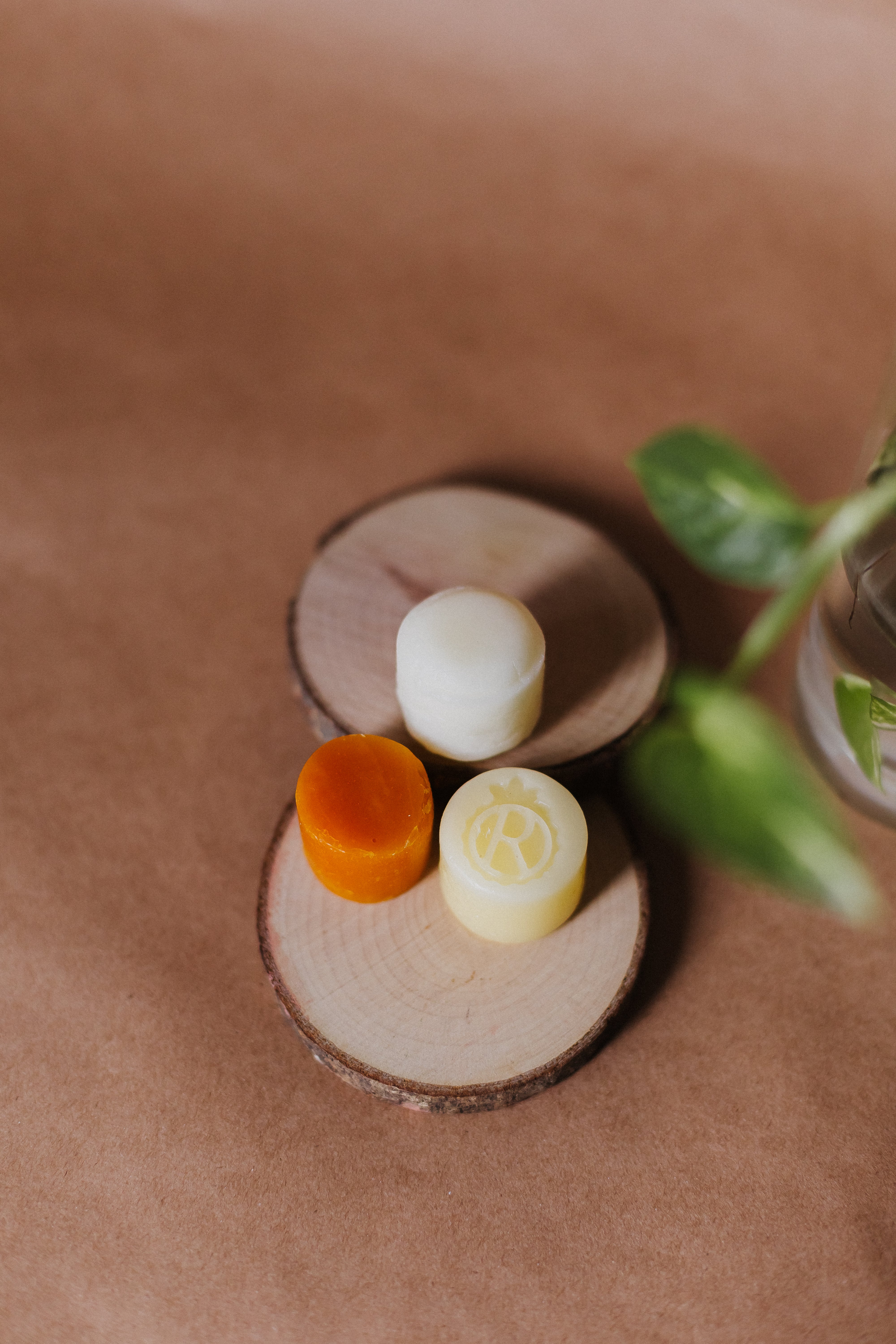 Kit Viagem em Barra Buriti, Murumuru e Copaiba